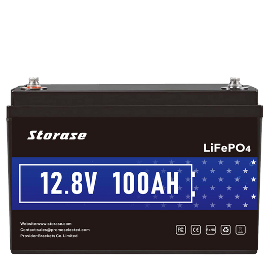 12V 100Ah PRO Bulit in BMS Grade A+ Cells