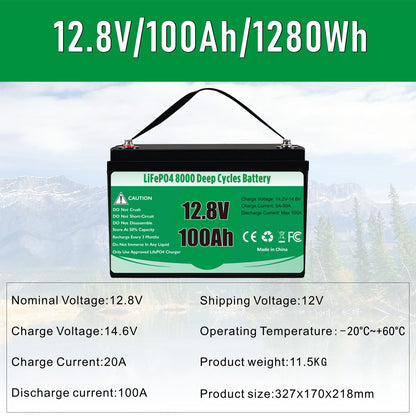 12V 100Ah Lithium Battery Standard