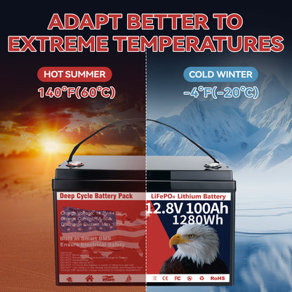 12V 100Ah LiFePO4 Battery