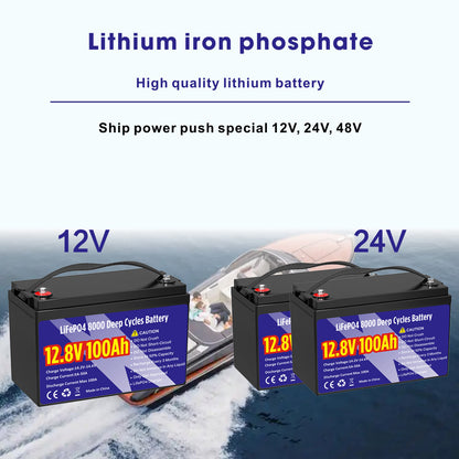 12V 100Ah 8000+ Cycle Times